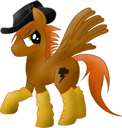 Size: 1983x2082 | Tagged: safe, artist:jetwave, derpibooru import, oc, oc only, oc:calamity, pegasus, pony, fallout equestria, brand, clothes, fanfic, fanfic art, hat, male, simple background, socks, solo, stallion, transparent background, wings