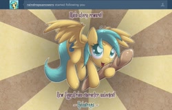 Size: 1035x667 | Tagged: safe, artist:sip, sunshower raindrops, pegasus, pony, baguette, bread, food, not a penis, solo, tumblr