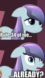 Size: 290x500 | Tagged: safe, derpibooru import, edit, edited screencap, screencap, sapphire joy, the crystal empire, comic, cropped, floppy ears, image macro, rule 34, screencap comic, solo