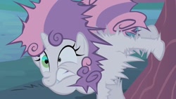 Size: 1024x576 | Tagged: safe, derpibooru import, screencap, sweetie belle, family appreciation day, shocked