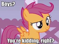 Size: 434x328 | Tagged: safe, derpibooru import, edit, edited screencap, screencap, scootaloo, caption, female, image macro, lesbian, roflbot