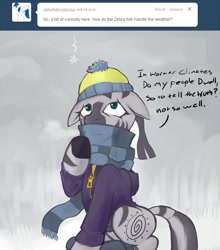 Size: 648x737 | Tagged: safe, artist:hobbes-maxwell, zecora, zebra, ask, ask zecora, clothes, hat, scarf, snow, snowfall, solo, tumblr