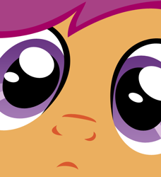 Size: 500x549 | Tagged: safe, derpibooru import, scootaloo, close-up, solo, stare