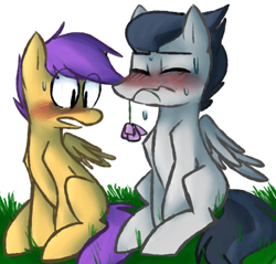 Size: 808x772 | Tagged: safe, artist:ghost, derpibooru import, rumble, scootaloo, blushing, female, flower, flower in mouth, male, mouth hold, rumbloo, shipping, straight