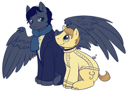 Size: 982x709 | Tagged: safe, artist:quiixotic, derpibooru import, bbc sherlock, john watson, ponified