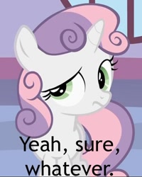 Size: 500x625 | Tagged: safe, sweetie belle, pony, unicorn, caption, female, filly, image macro, reaction image, white coat