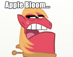 Size: 982x760 | Tagged: safe, derpibooru import, big macintosh, earth pony, pony, dinkleberg, male, meme, stallion, timmy's dad