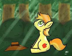 Size: 1280x1000 | Tagged: safe, artist:mister-markers, braeburn, earth pony, pony, cowboy hat, male, two toned mane