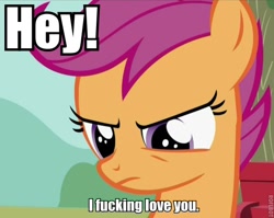 Size: 600x478 | Tagged: safe, derpibooru import, scootaloo, image macro, love, solo, vulgar