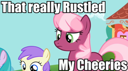 Size: 954x536 | Tagged: safe, derpibooru import, cheerilee, earth pony, pony, image macro, jimmies