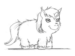 Size: 722x544 | Tagged: safe, derpibooru import, fluffy pony, fluffy pony original art, realistic, sketch