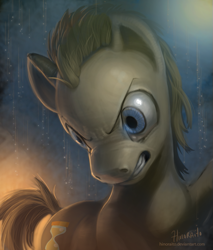 Size: 579x678 | Tagged: safe, artist:hinoraito, doctor whooves, earth pony, pony, brown coat, brown mane, male, stallion