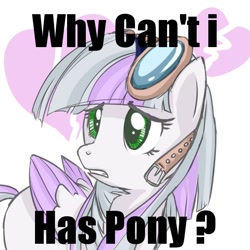 Size: 600x600 | Tagged: artist needed, source needed, useless source url, safe, artist:starlightspark, derpibooru import, oc, oc only, oc:starlight spark, pegasus, pony, colored wings, colored wingtips, frown, goggles, gritted teeth, i can has, image macro, sad, solo