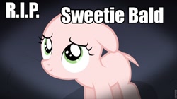 Size: 960x538 | Tagged: safe, derpibooru import, sweetie belle, ask the crusaders, earth pony sweetie belle, image macro, rest in peace, sweetie bald