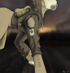 Size: 1161x1200 | Tagged: safe, artist:paradoxicalreaction, derpibooru import, ponified, s.t.a.l.k.e.r., strelok