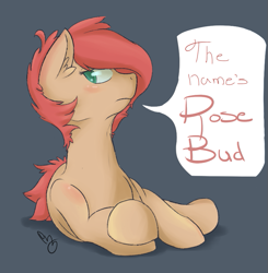 Size: 819x837 | Tagged: safe, artist:mrrowboat, oc, oc only, oc:rose bud, short mane, speech bubble