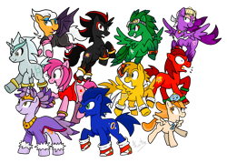 Size: 2100x1500 | Tagged: dead source, safe, artist:fuutachimaru, derpibooru import, pony, amy rose, blaze the cat, chao, cheese chao, clothes, cream the rabbit, jet the hawk, knuckles the echidna, miles "tails" prower, ponified, rouge the bat, shadow the hedgehog, silver the hedgehog, simple background, sonic the hedgehog, sonic the hedgehog (series), transparent background, wave the swallow