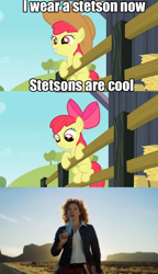 Size: 500x870 | Tagged: safe, derpibooru import, apple bloom, comic, cowboy hat, crossover, doctor who, hat, river song, stetson, unwarranted violence against hats