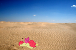 Size: 1600x1068 | Tagged: safe, artist:erockertorres, derpibooru import, apple bloom, pony, desert, irl, photo, ponies in real life, vector