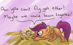 Size: 996x619 | Tagged: safe, artist:ponygoggles, derpibooru import, scootaloo, chicken, cute, cutealoo, daaaaaaaaaaaw, duo, pet, scootaloo can't fly