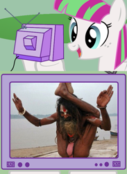 Size: 563x771 | Tagged: safe, derpibooru import, blossomforth, pony, exploitable meme, meme, photo, tv meme, yoga