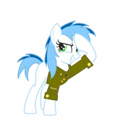 Size: 900x900 | Tagged: safe, artist:nessus2, derpibooru import, oc, oc only, earth pony, pony, clothes, salute