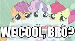 Size: 856x466 | Tagged: safe, derpibooru import, edit, edited screencap, screencap, apple bloom, scootaloo, sweetie belle, ponyville confidential, cutie mark crusaders, image macro, newspaper, rain, reaction image