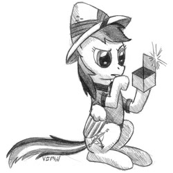 Size: 800x800 | Tagged: safe, artist:videogamer-phil, daring do, box, pun, solo, treasure