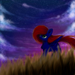 Size: 5000x5000 | Tagged: safe, artist:alphadesu, oc, oc only, oc:night coder, pegasus, pony, absurd resolution, cloud, cutie mark, female, grass, grass field, mare, night, night sky, sky, solo, sunset, wings, ych result