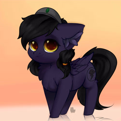 Size: 5000x5000 | Tagged: safe, artist:alphadesu, oc, oc only, oc:mir, pegasus, pony, fallout equestria, absurd resolution, beret, chibi, commission, cute, dashite, ear fluff, female, fluffy, hair tie, hat, hnnng, mare, smiling, solo, ych result