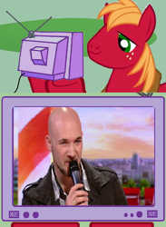 Size: 438x600 | Tagged: safe, derpibooru import, big macintosh, pony, exploitable meme, meme, singing, tim storms, tv meme