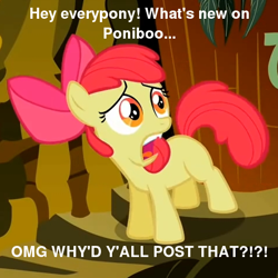 Size: 476x476 | Tagged: safe, derpibooru import, apple bloom, abandon thread, image macro, meme, ponibooru, text, why would you post that