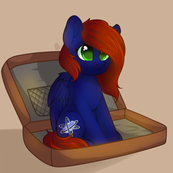 Size: 2500x2500 | Tagged: safe, artist:alphadesu, oc, oc only, oc:night coder, pegasus, pony, cute, cutie mark, female, mare, simple background, sitting, smiling, solo, suitcase, wings, ych result