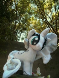 Size: 720x960 | Tagged: artist needed, safe, princess silver swirl, g2, g2 to g4, generation leap, irl, photo, plushie