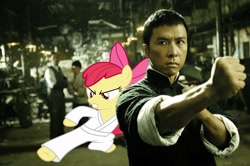 Size: 1800x1196 | Tagged: safe, artist:erockertorres, artist:ricrobincagnaan, derpibooru import, apple bloom, human, pony, china, crossover, donnie yen, ip man, irl, kung fu, movie, photo, ponies in real life, vector