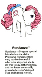 Size: 550x1000 | Tagged: safe, sundance, g1, g1 backstory, my little pony fact file, official