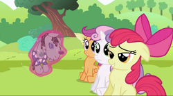 Size: 1023x574 | Tagged: safe, derpibooru import, screencap, apple bloom, scootaloo, smarty pants, sweetie belle, lesson zero, cutie mark crusaders, lidded eyes, out of context, varying degrees of want