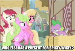 Size: 880x601 | Tagged: safe, screencap, daisy, flower wishes, lily, lily valley, roseluck, spike, dragon, earth pony, pony, the cutie pox, caption, daisyspike, faic, female, flower, flower in hair, flower trio, hay bale, image macro, lily (flower), lilyspike, male, shipping, spikeluck, spikey wikey, straight