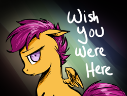 Size: 800x600 | Tagged: safe, artist:xarakayx, derpibooru import, scootaloo, abandoned, implied scootabuse, pink floyd, sad, wish you were here