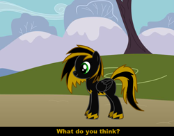 Size: 830x650 | Tagged: safe, derpibooru import, oc, oc only, pegasus, pony, pony creator, pegasus oc, wings