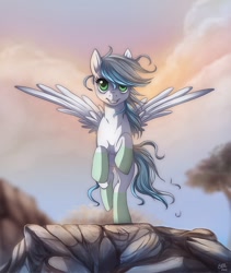 Size: 798x946 | Tagged: dead source, safe, artist:ruhje, derpibooru import, oc, oc only, pegasus, pony, cloud, female, looking up, mare, rock, running, socks (coat marking), solo, spread wings, taking off, wings