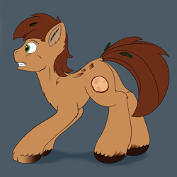 Size: 2000x2000 | Tagged: safe, artist:redquoz, oc, oc:red bark, earth pony, hengstwolf, original species, pony, werewolf, atg 2019, blue background, chest fluff, crouching, ear fluff, green eyes, hooves, looking offscreen, newbie artist training grounds, paws, ponysona, shocked, simple background, teeth, transformation