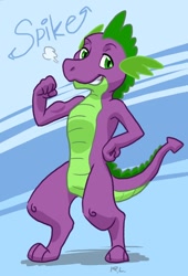 Size: 624x920 | Tagged: safe, artist:domadibo, spike, dragon, male, solo