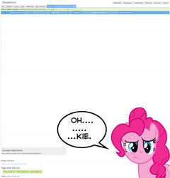 Size: 1659x1728 | Tagged: safe, derpibooru import, pinkie pie, earth pony, pony, derpibooru, dialogue, fourth wall, image macro, text, tl;dr