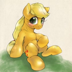 Size: 1400x1400 | Tagged: safe, artist:kurogewapony, applejack, earth pony, pony, blushing, female, freckles, looking at you, mare, sitting, smiling, solo