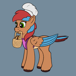 Size: 811x811 | Tagged: safe, artist:redquoz, oc, oc:allegra mazarine, bird, bird pone, pegasus, apron, basket, chef's hat, clothes, colored sketch, hat, sketch, solo, two toned mane, two toned wings, wings