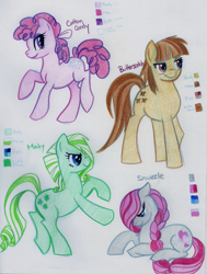 Size: 1165x1539 | Tagged: safe, artist:vertrev, derpibooru import, butterscotch (g1), cotton candy (g1), minty (g1), snuzzle, g1, g1 to g4, generation leap, traditional art