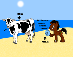 Size: 996x780 | Tagged: safe, derpibooru import, oc, oc only, oc:bob, cow, beach, disease not alicorn, milk, udder