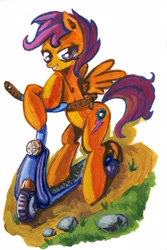 Size: 1888x2819 | Tagged: safe, artist:lexx2dot0, derpibooru import, scootaloo, pegasus, female, filly, orange coat, purple mane, scooter, solo