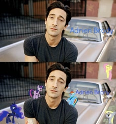 Size: 640x685 | Tagged: safe, derpibooru import, oc, oc only, adrien brody, non-pony oc, parody